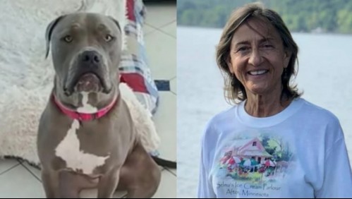 'Ella conocía los riesgos': Voluntaria de refugio de animales muere tras ser atacada brutalmente por un perro