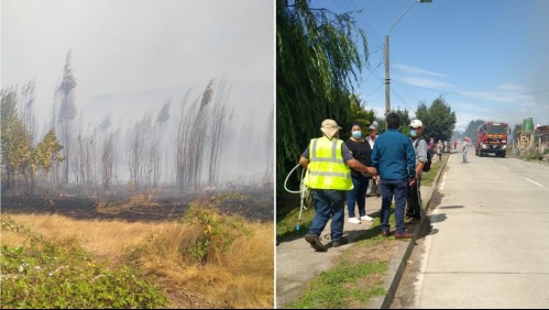 Declaran Alerta Roja en Lanco por incendio forestal cercano a sectores habitados