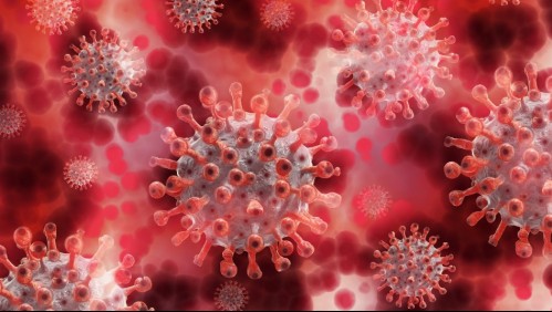 Investigadores de Tokio aseguran que Ómicron 2 podría causar una enfermedad más grave debido a sus mutaciones