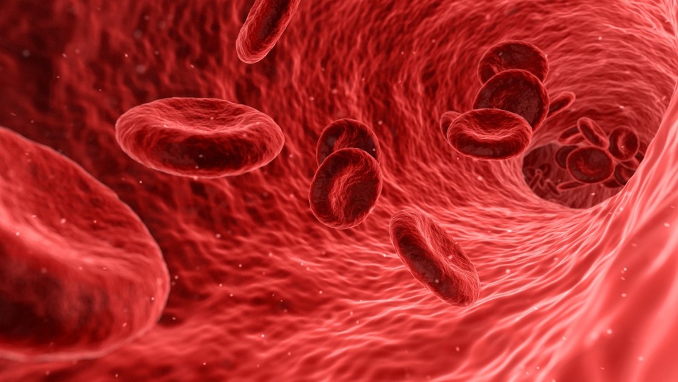 Estos son los 9 síntomas que podrían indicar que tienes anemia Estos son los 9 síntomas que podrían indicar que tienes anemia