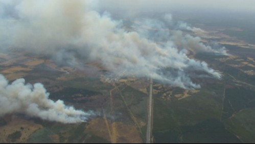 Declaran Alerta Roja en la comuna de Ercilla por incendio forestal