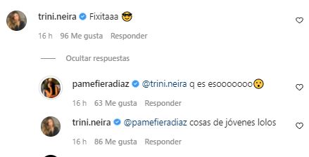 Comentario de Trinidad Neira a Pamela Díaz