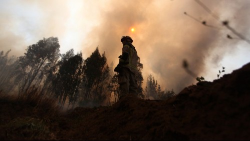 Incendios forestales en La Araucanía: Hombre está en riesgo vital con el 96% de su cuerpo quemado