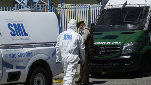 Niño de tres años muere tras ser atacado por perros pitbull