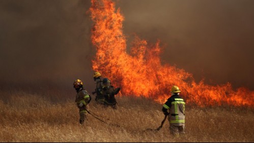 'Alerta roja por amenaza a viviendas': Onemi informa de incendios forestales en dos regiones del país