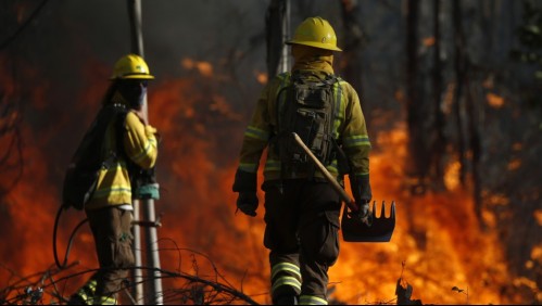 Calor en Santiago: emiten Alerta Temprana Preventiva por amenaza de incendio forestal