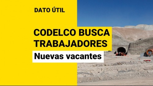 Codelco busca trabajadores: Conoce las nuevas ofertas laborales disponibles