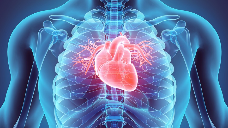 Revisa cuáles son los 5 síntomas más comunes de la miocarditis