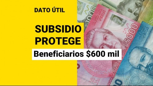 Inician postulaciones de marzo al Subsidio Protege: ¿Quiénes pueden recibir hasta $600 mil?
