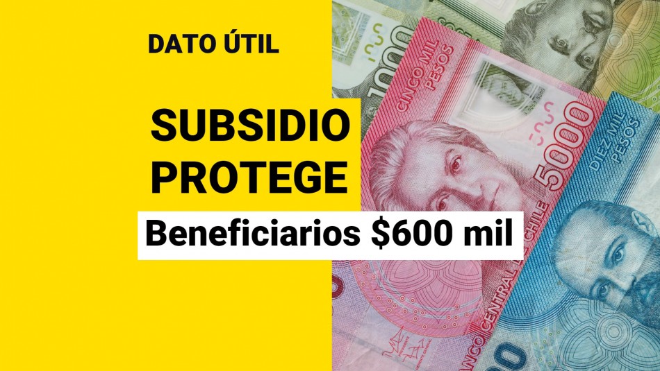 subsidio protege