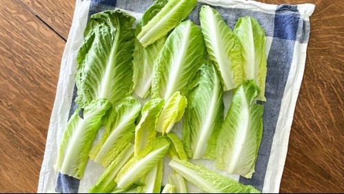 ¿Te gusta la ensalada? Conoce si eres una de las personas que no debería comer tanta lechuga