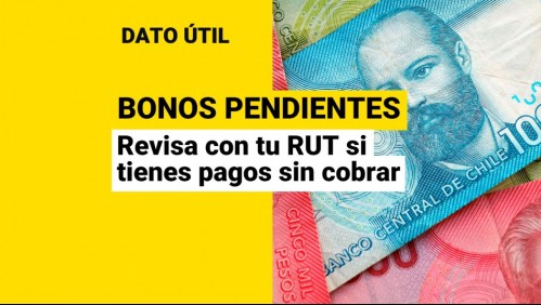 ¿Tienes bonos pendientes? Conoce con tu RUT los pagos que puedes cobrar