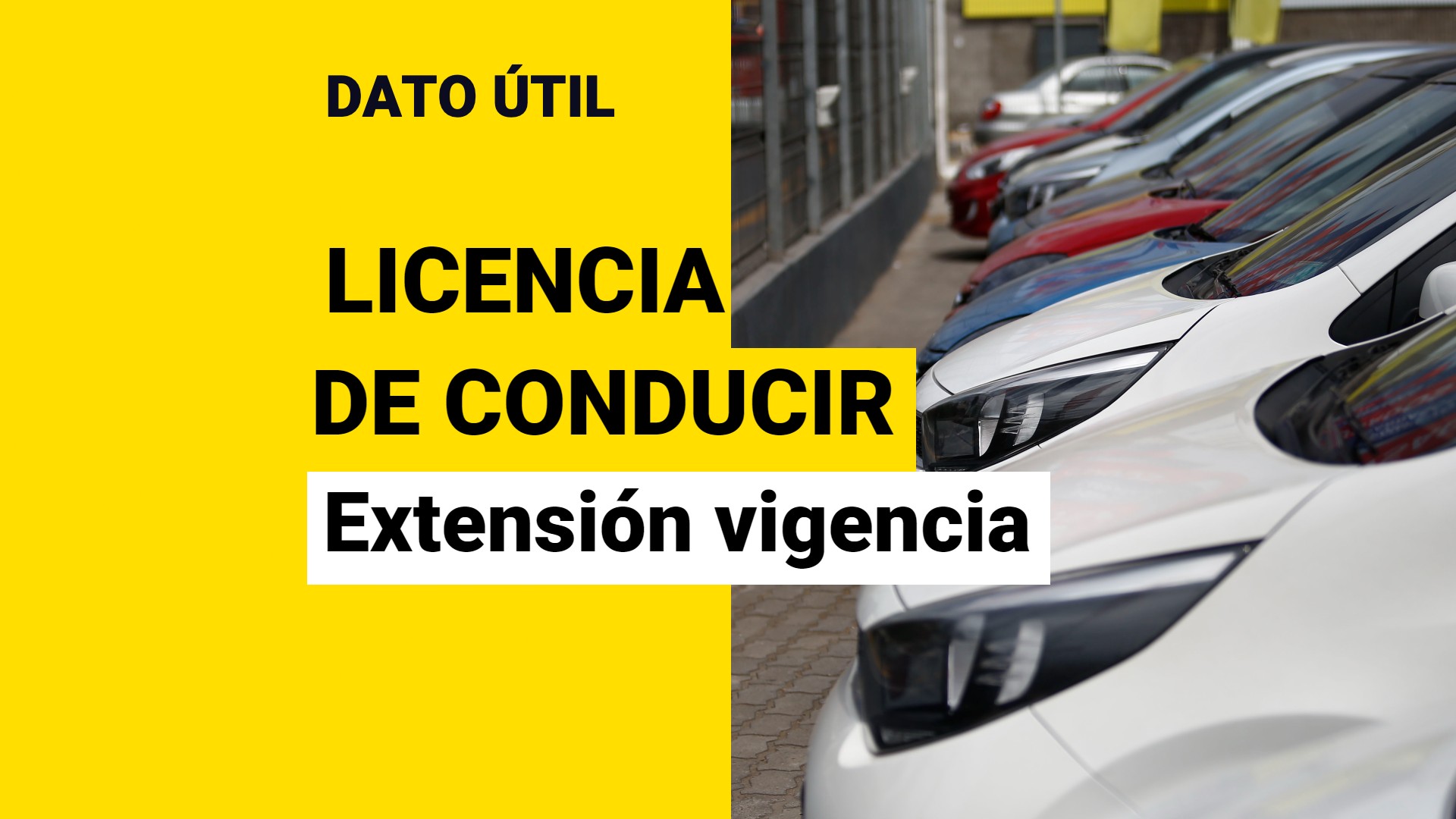 Extienden Vigencia De Las Licencias De Conducir: ¿Hasta Cuándo Durarán ...