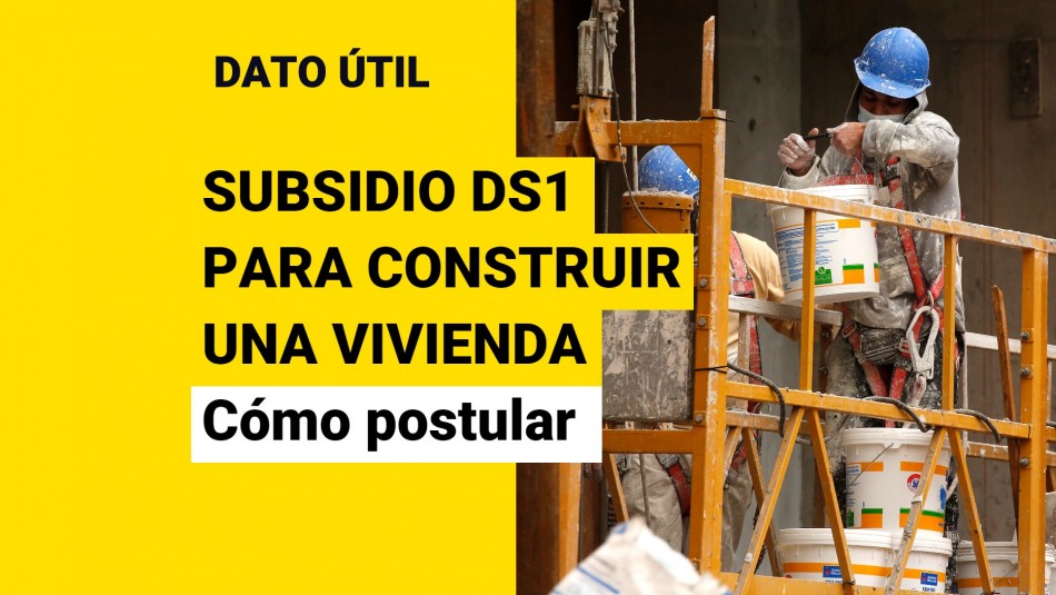 subsidio-ds1 subsidio ds1