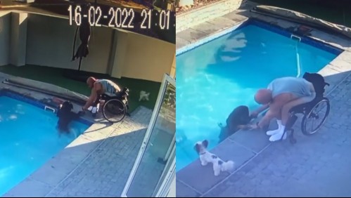 Hombre en silla de ruedas salva a su perro de ahogarse tras caer a la piscina de su casa