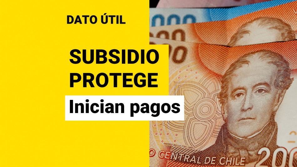 subsidio-protege subsidio protege