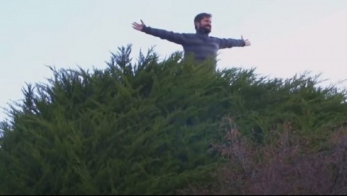 'Está con un daño interno importante': Municipio de Punta Arenas prohibirá subirse al árbol ícono de la campaña de Boric