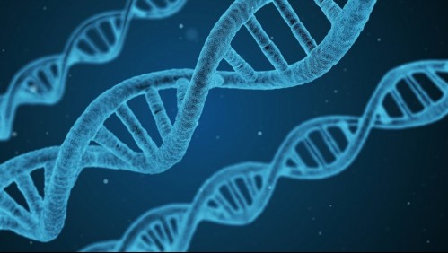 La clave está en los genes: Estudio descubrió 16 variaciones genéticas que podrían determinar si sufrirás Covid grave