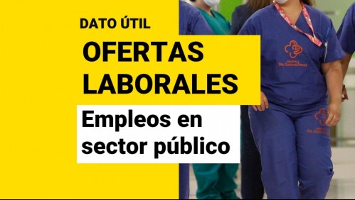¿Quieres trabajar para el Estado?: Revisa las ofertas laborales disponibles en el sector público
