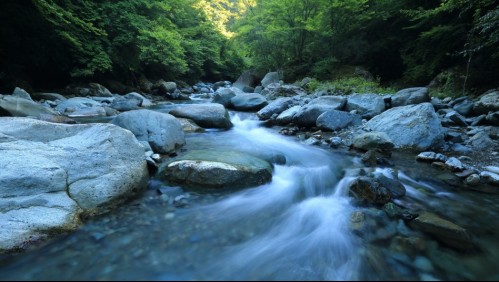 No tenía dinero para darle de comer: madre arrojó al río a su pequeño hijo y ahora arriesga 10 años de cárcel