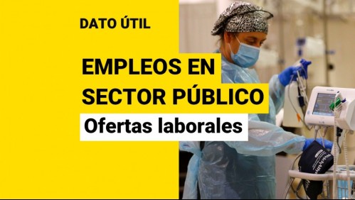 ¿Quieres trabajar para el Estado?: Estas son las ofertas laborales en el sector público