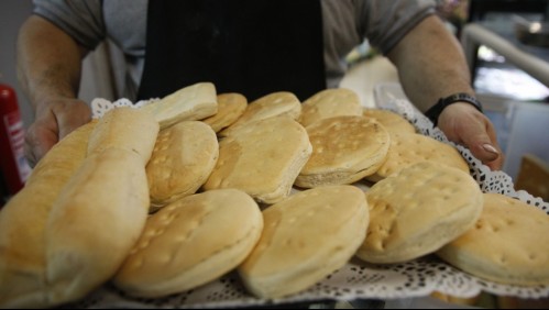 Piden investigar posible colusión en el mercado del pan: molineros responsabilizan a la pandemia y la guerra en Ucrania