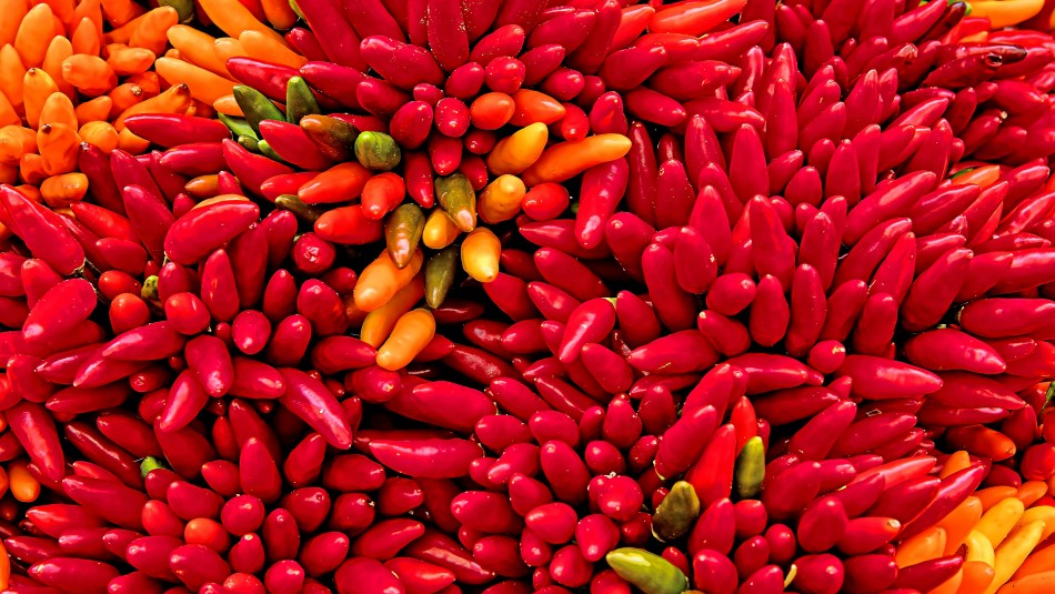 quienes-no-pueden-comer-mucho-aji quienes no pueden comer mucho ají