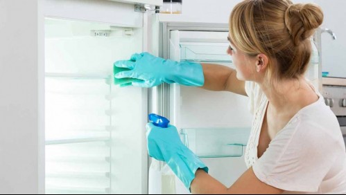 Esta es la forma adecuada para limpiar profundamente el refrigerador, según los expertos