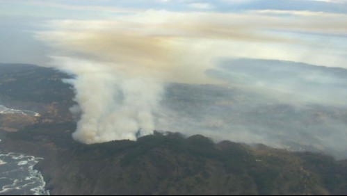 Incendio forestal en Laguna Verde amenaza viviendas: Se declaró Alerta Roja para la comuna de Valparaíso