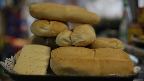 Diputados DC enviaron oficio a Fiscalía Nacional Económica para que investigue funcionamiento del mercado de la harina