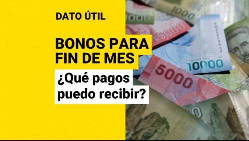 Bonos que se pagan a fin de mes: ¿Cuáles son los aportes que puedo recibir?