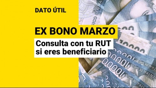 Ex Bono Marzo: Consulta con tu RUT si eres beneficiario de los pagos