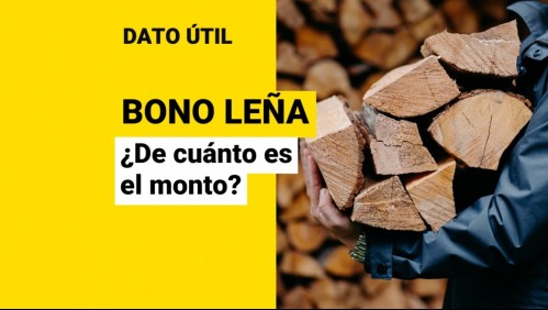 Bono Leña: ¿Cuál es el monto que reciben las familias beneficiarias?