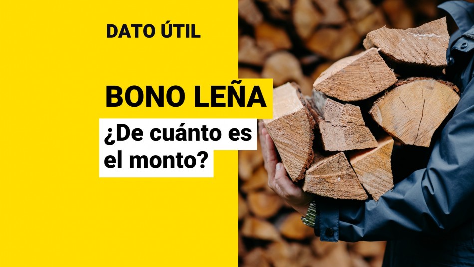 monto-bono-lena-beneficiarios monto bono leña beneficiarios
