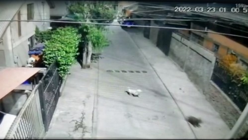 Detención ciudadana: Videos muestran últimos momentos del joven asesinado por vecinos