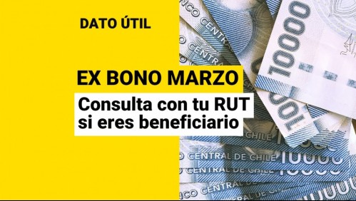 Ex Bono Marzo: Conoce con tu RUT si te quedan pagos del beneficio