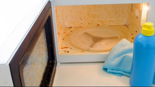 'Se pueden desarrollar patógenos': Estos son los peligros de no limpiar tu microondas, según los expertos