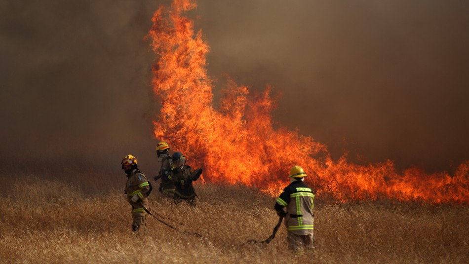 Piden evacuar sectores de la comuna de Valparaíso por incendio forestal: Al menos 40 viviendas han sido destruidas