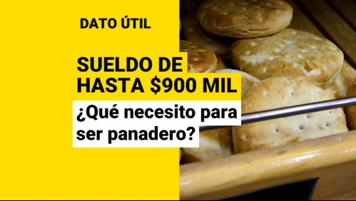 Pueden ganar hasta $900 mil: ¿Qué necesito para ser panadero?