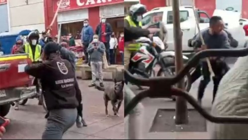 Video muestra pelea entre vendedores ambulantes e inspectores municipales tras fiscalización en La Serena