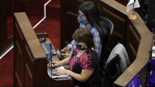 Convención Constitucional: Senado sería reemplazado por Cámara Regional