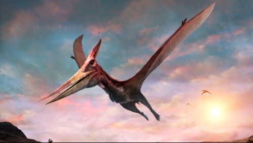 Cementerio de 'dragones voladores': Paleontólogos descubren fósiles poco comunes en el desierto de Atacama