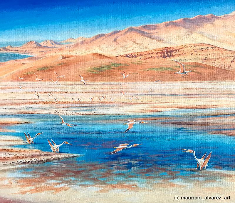 Pterosaurios de la familia Ctenochasmatidae en la región de Atacama
