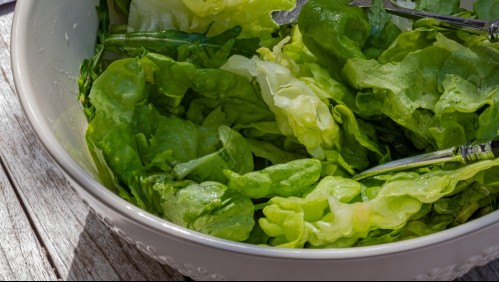 ¿Cómo puedo mantener la lechuga fresca durante más días?