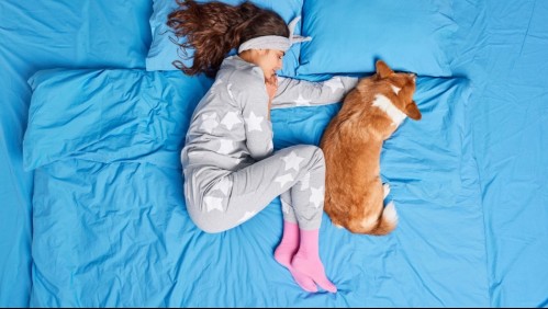 Evita enfermedades: Estos son 3 consejos para dormir de forma segura con tu perro