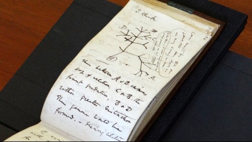 Con una nota de felicitación: Devuelven libros robados de Charles Darwin que desaparecieron por más de 20 años