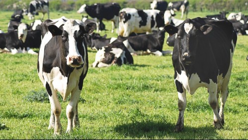 Para encontrar vida extraterrestre: Este es el elemento que buscan los astrónomos en los planetas