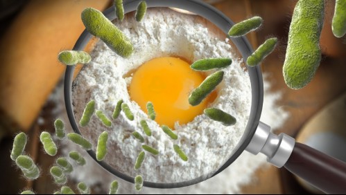 Así es como puedes saber si te contagiaste con salmonela