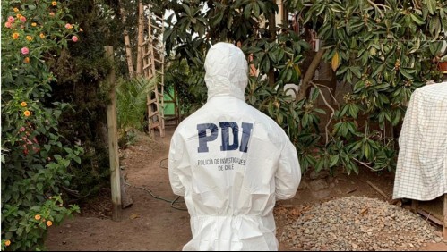 Hallan muerta a reconocida profesora y el principal sospechoso del asesinato es su hijo