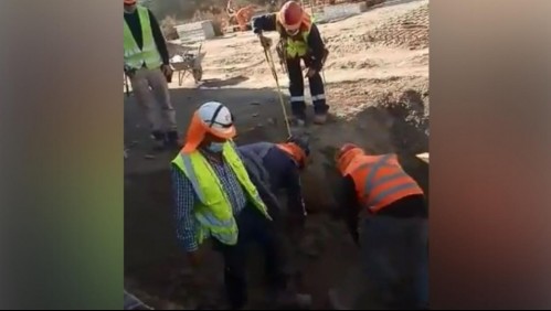 Encuentran osamentas en el Estadio Nacional: Tras peritajes se descartó que se trate de restos humanos